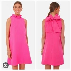 NWT Hot Pink Blythe Dress Tuckernuck